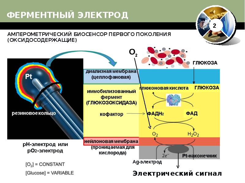 Биосенсоры для мониторинга презентация