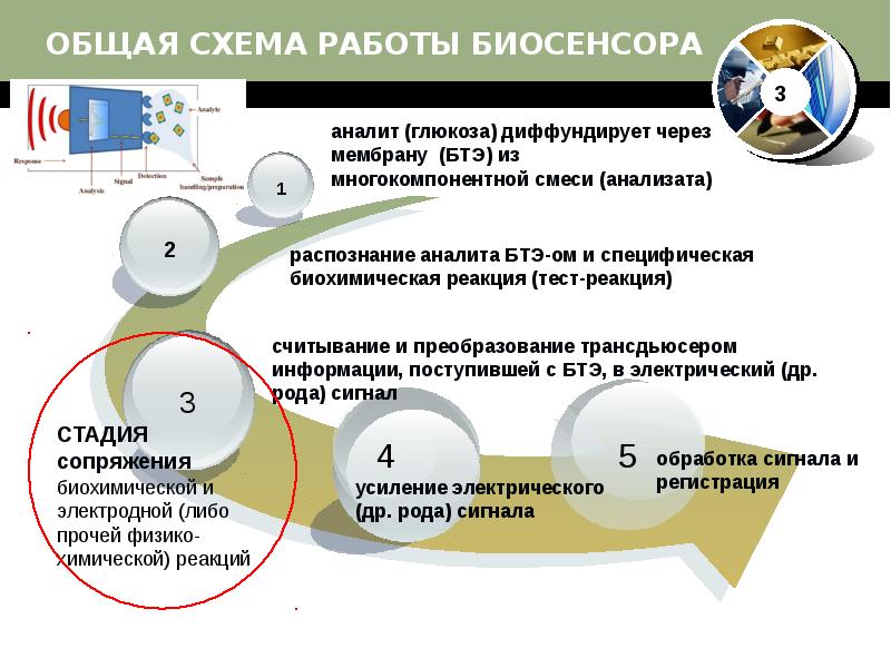 Биосенсоры для мониторинга презентация