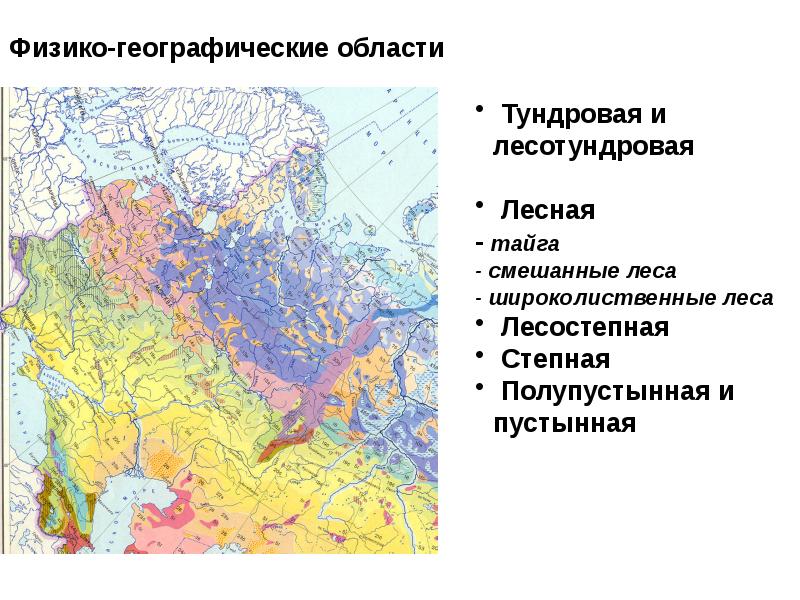 План физико географического описания