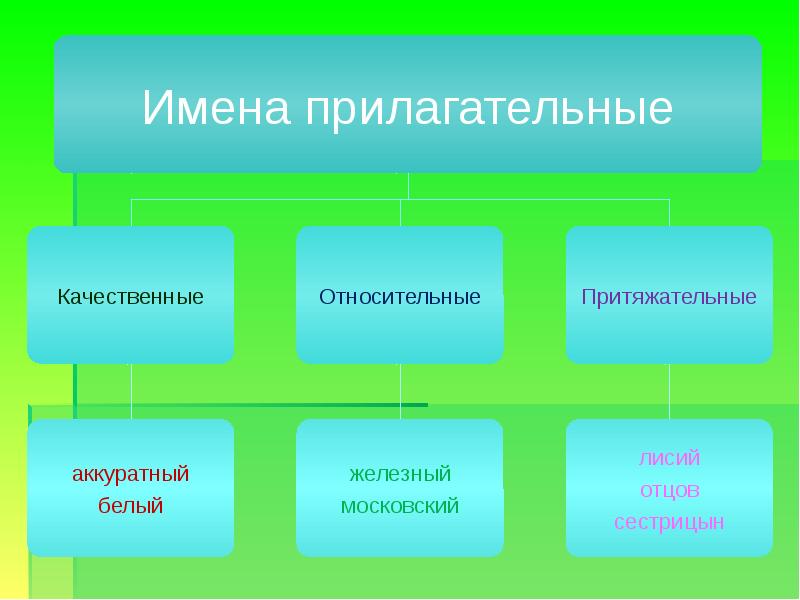 Имя прилагательное презентация