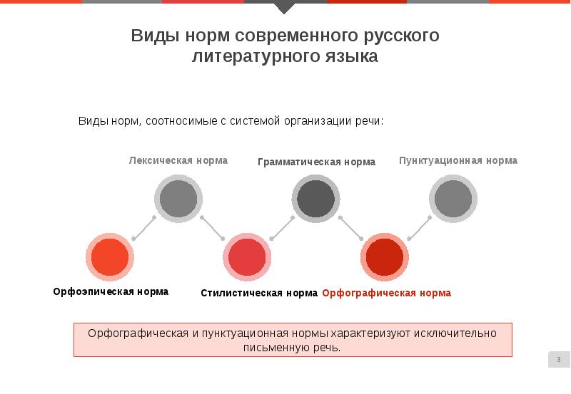 Соответствие речи нормам литературного языка