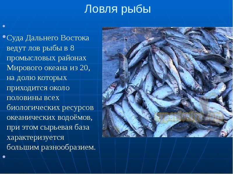 Рыбные ресурсы восточной сибири