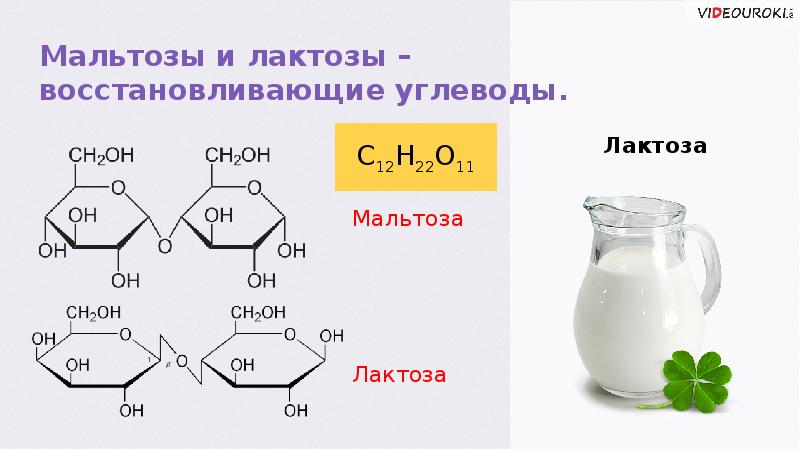 Лактоза презентация по химии