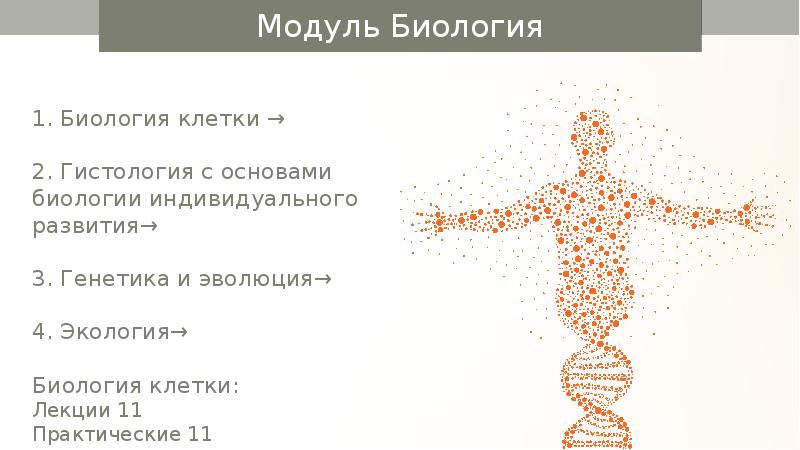 Единство химического состава. Единство структурной организации. Признак живого единство структурной организации. Единство химического состава это в биологии. Самовоспроизведение саморегуляция и обмен веществ.