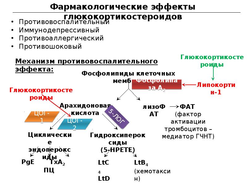 Противоаллергические препараты фармакология презентация