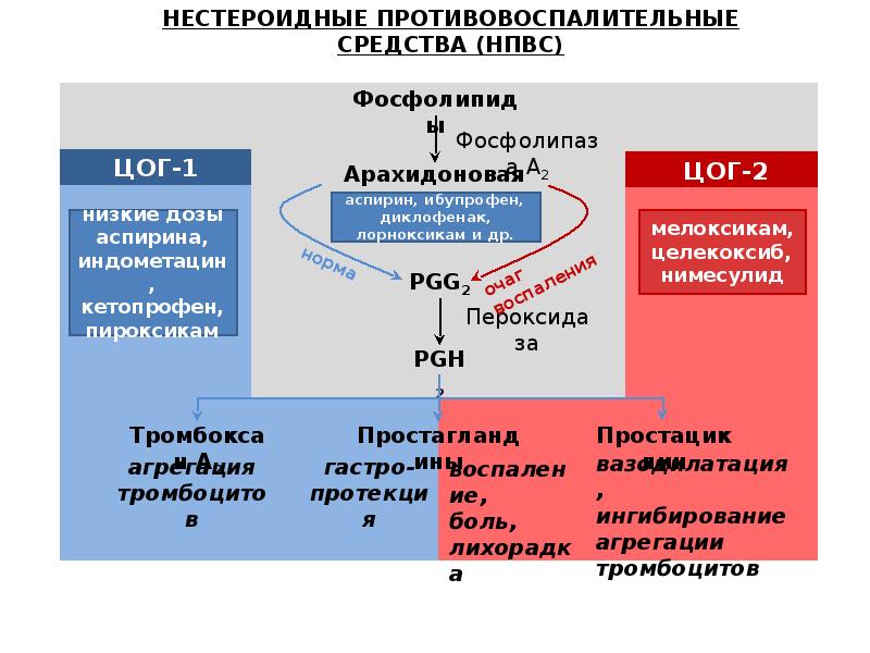 Противоаллергические средства фармакология презентация