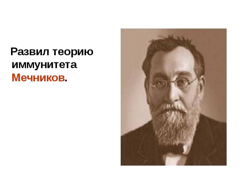 Теория иммунитета мечникова. Мечников теория иммунитета. Автор теории иммунной сети. Теория иммунитета растений Вавилова фото.