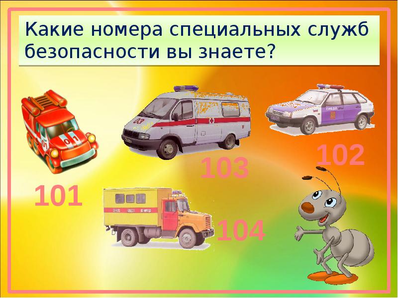 Специальные службы