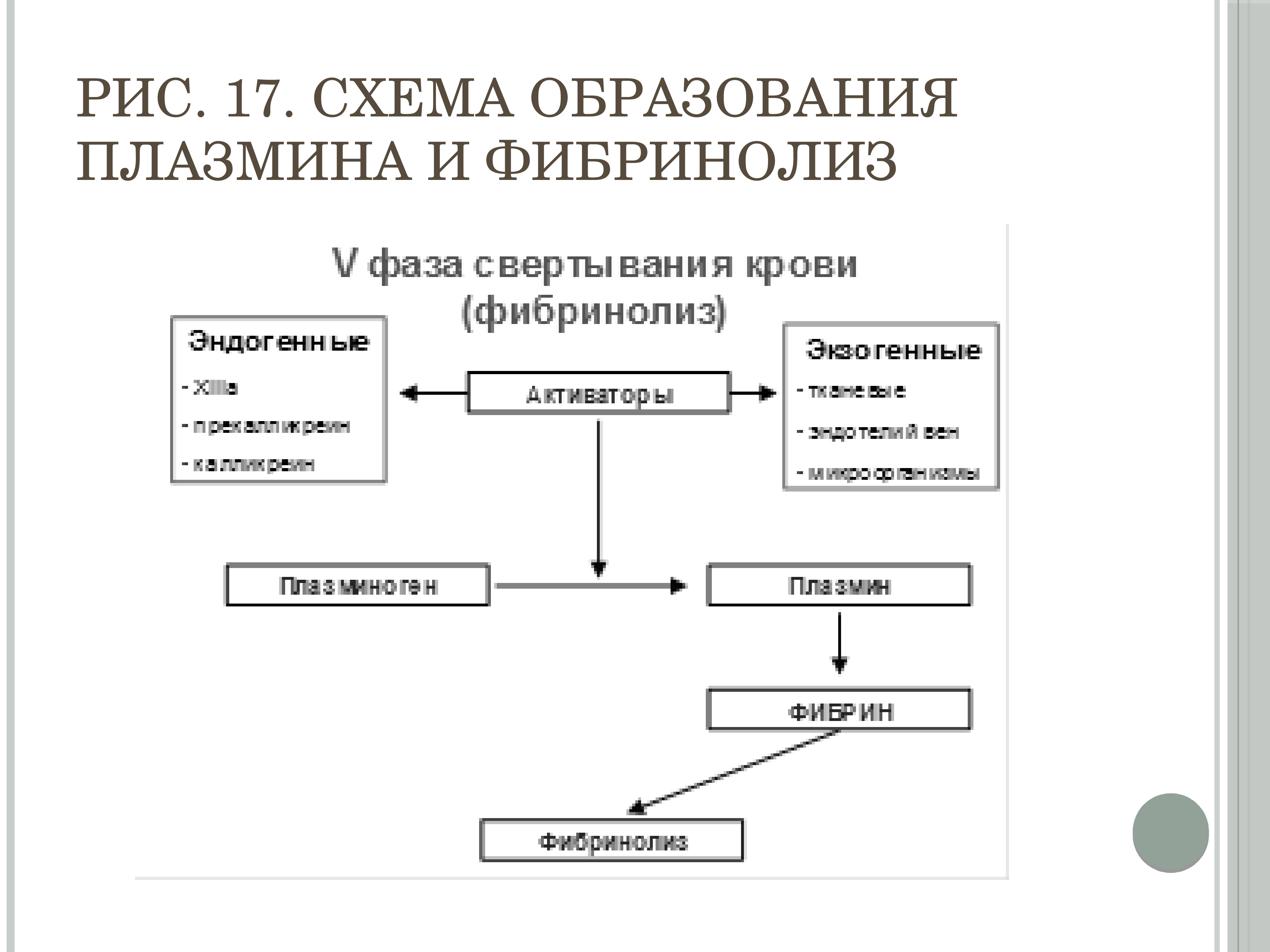 Схема фибринолиза физиология