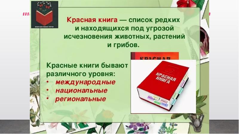 Презентация история красной книги