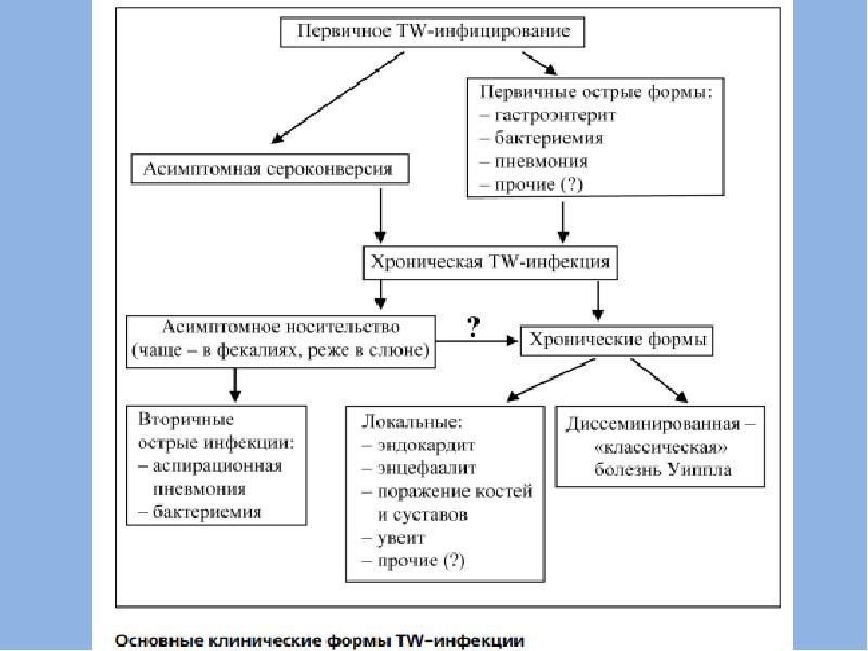 Болезнь уиппла презентация