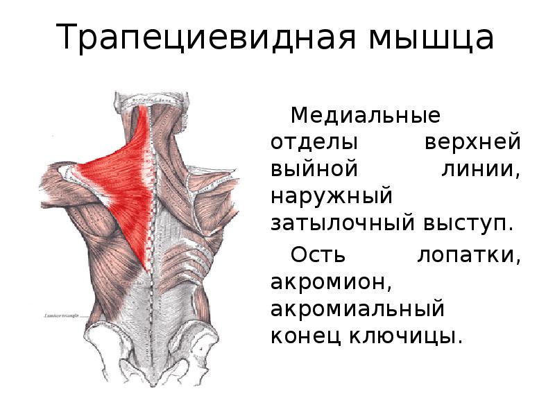  Foto 31