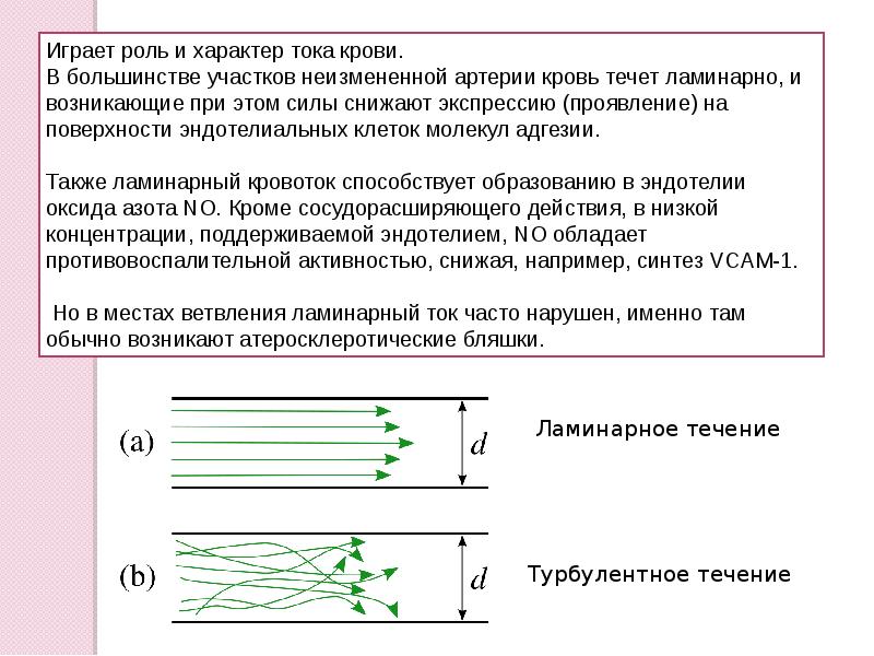Характер тока. Ламинарное течение крови. Ламинарное и турбулентное течение крови. Типы кровотока ламинарный и турбулентный. Ламинарное истечение крови это.