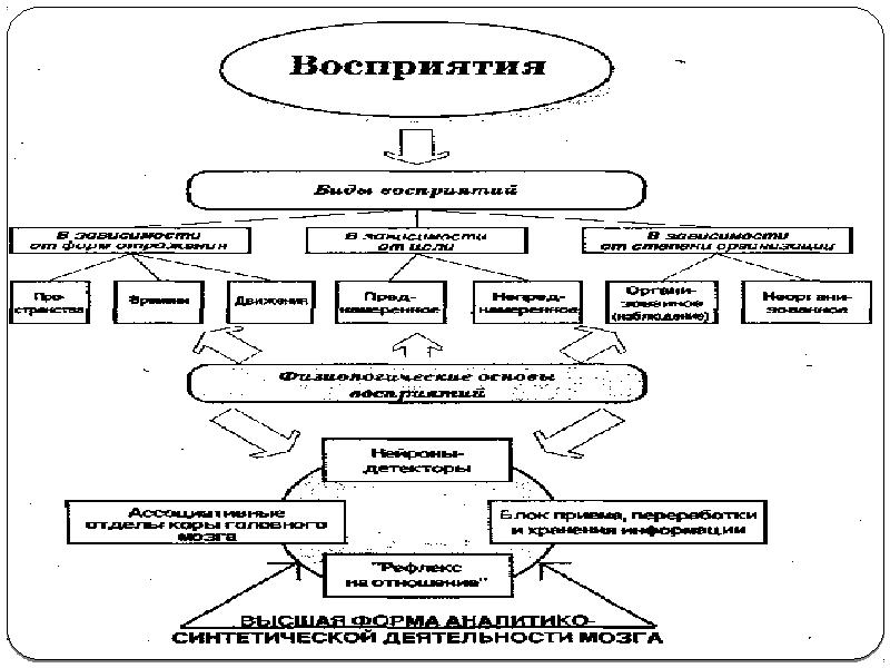 Составьте схему задачи умственного воспитания дошкольников