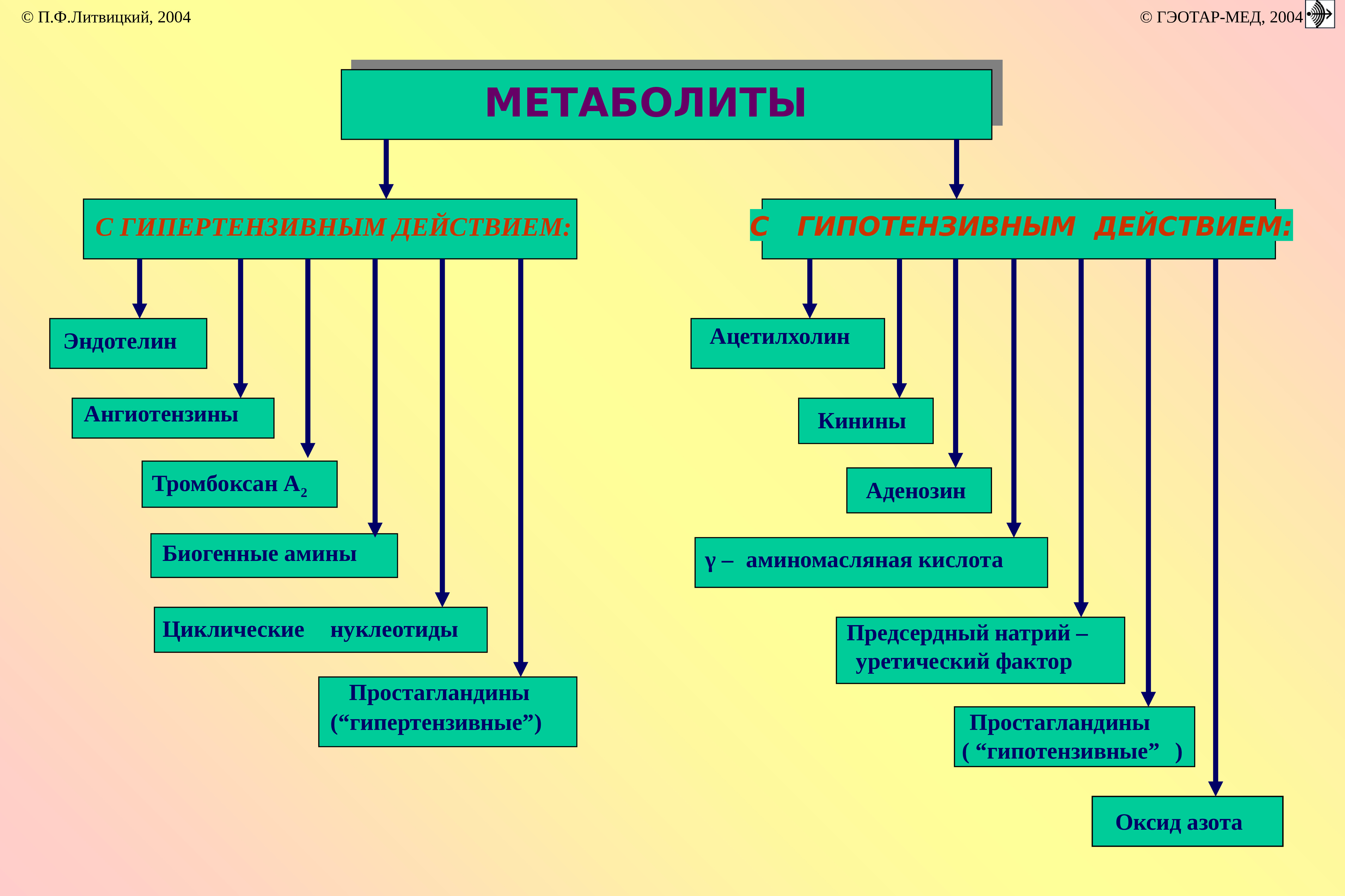 Презентация на тему по патофизиологии на тему