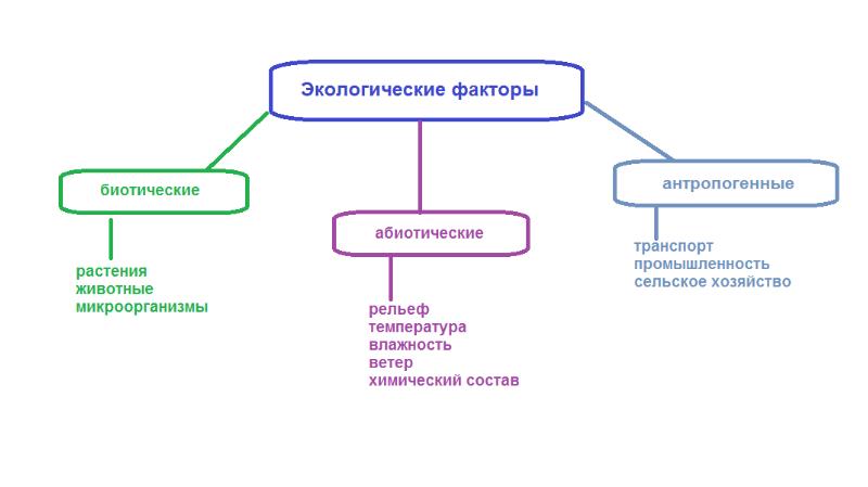 Экологические факторы 8 класс презентация