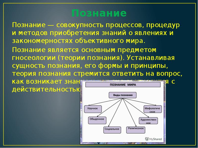 Основные институты общества презентация