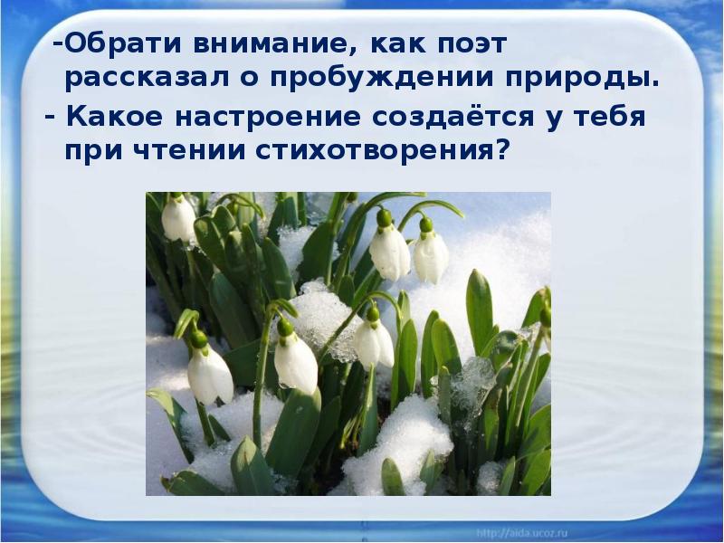 Какие картины природы видятся вам при чтении стихотворения какое настроение передает вам поэт