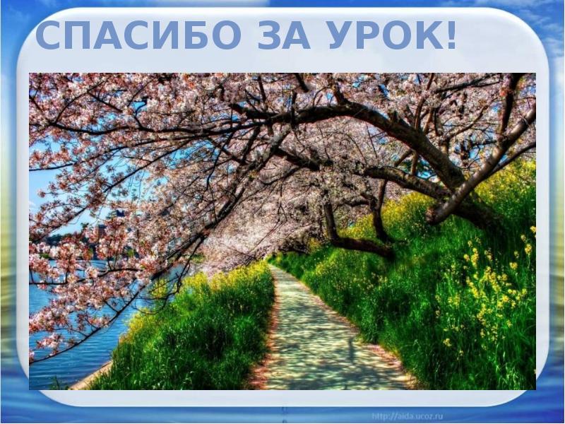 Спасибо за урок!