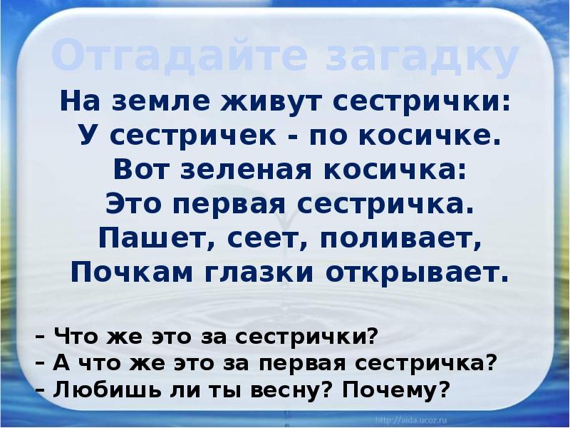 Отгадайте загадку На земле живут сестрички:  У сестричек - по