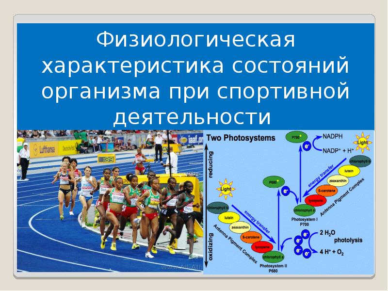 Физиологическая характеристика состояний организма при спортивной деятельности презентация