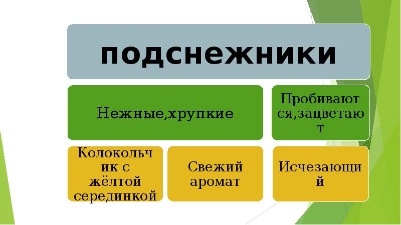 Модель текста. Описание слайда. Топы в описании в тексте.