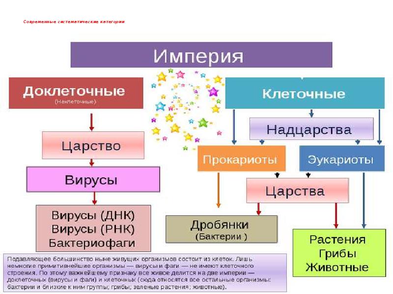 Классификация живых организмов 5 класс биология презентация