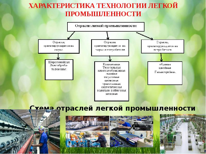 План характеристики легкой промышленности