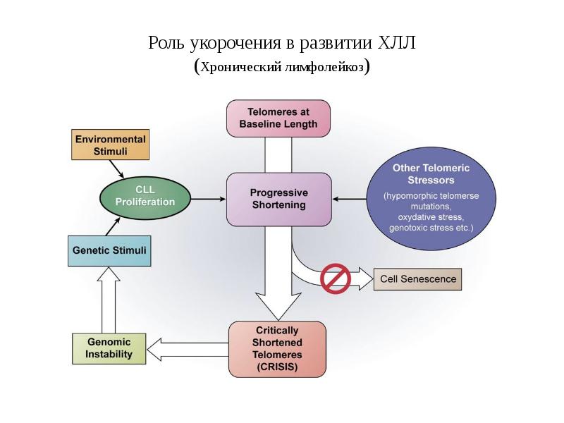 Нак руководство структура функции