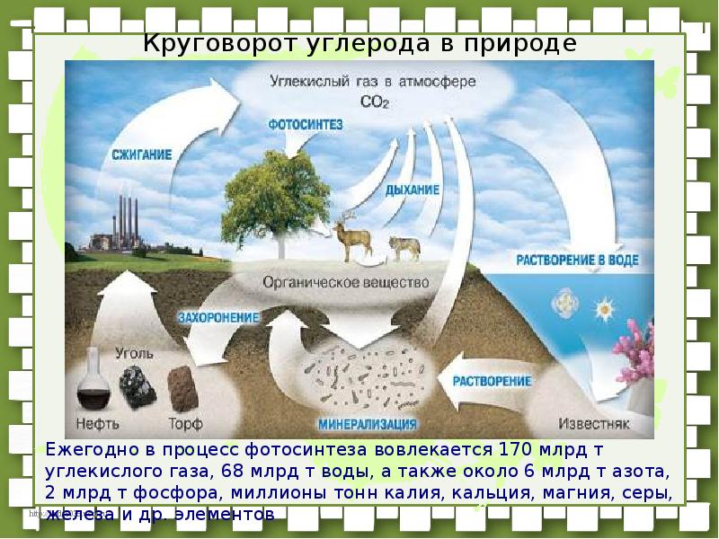 Фф круговорот. Круговорот углерода биология 9. Зарисовать круговорот углерода. Круговорот углекислого газа в природе. Процесс круговорота углерода в природе.