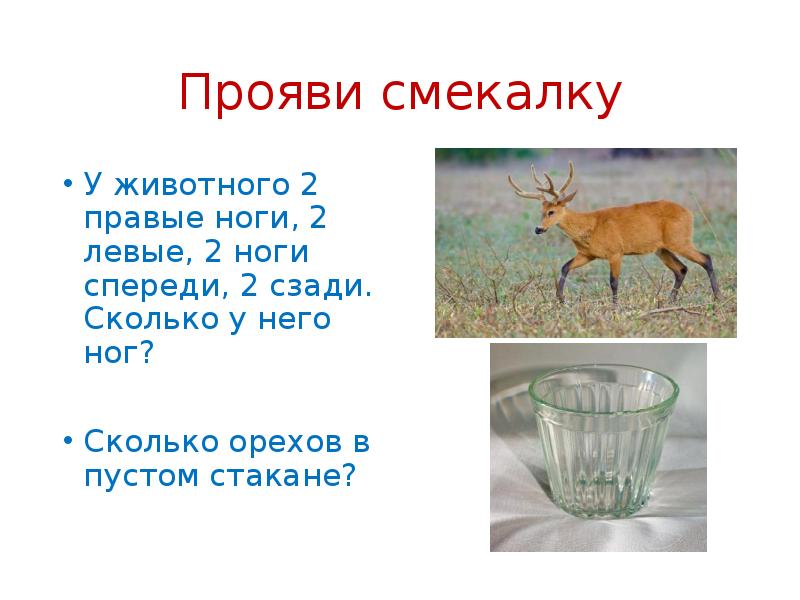 Сколько ног есть. У кого сколько ног. Прояви смекалку. У зверей две конечности. У животного 2 правые ноги 2 левые 2 ноги спереди 2 ноги сзади сколько.