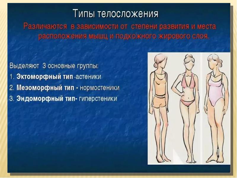 Типы телосложения презентация