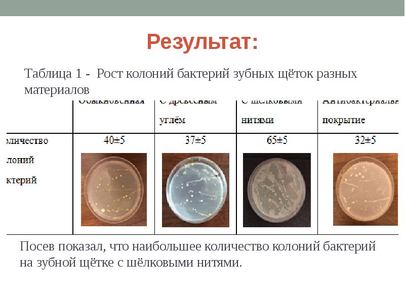 Составляют колонии. Количество колоний микроорганизмов. Сколько бактерий в колонии. Описать следующие колонии микробов. Рост колоний разных микроорганизмов.