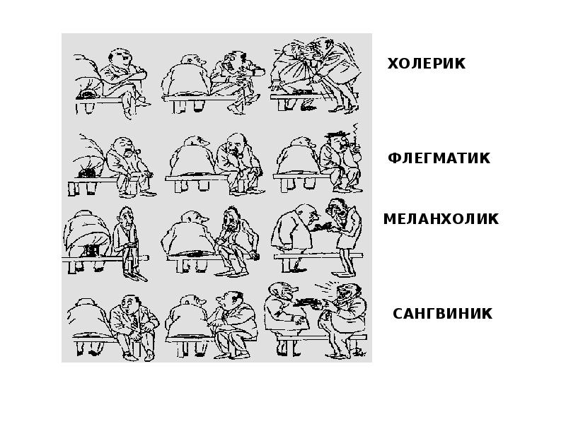 Холерик сангвиник флегматик картинка