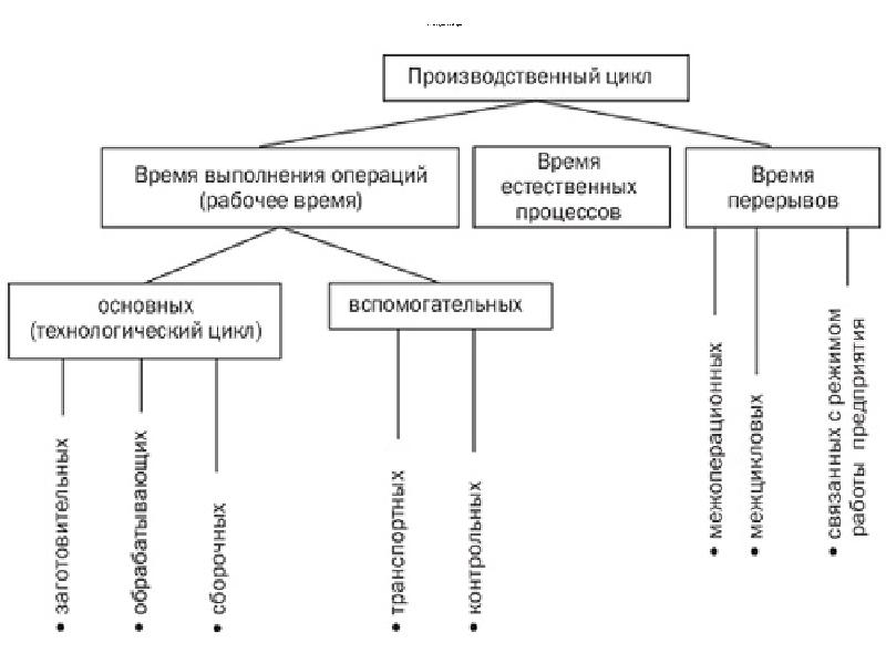 Вид производственного цикла. Производственный цикл структура производственного цикла. Структура производственного цикла схема. Понятие структура и Продолжительность производственного цикла. Производственный цикл-его составляющие.