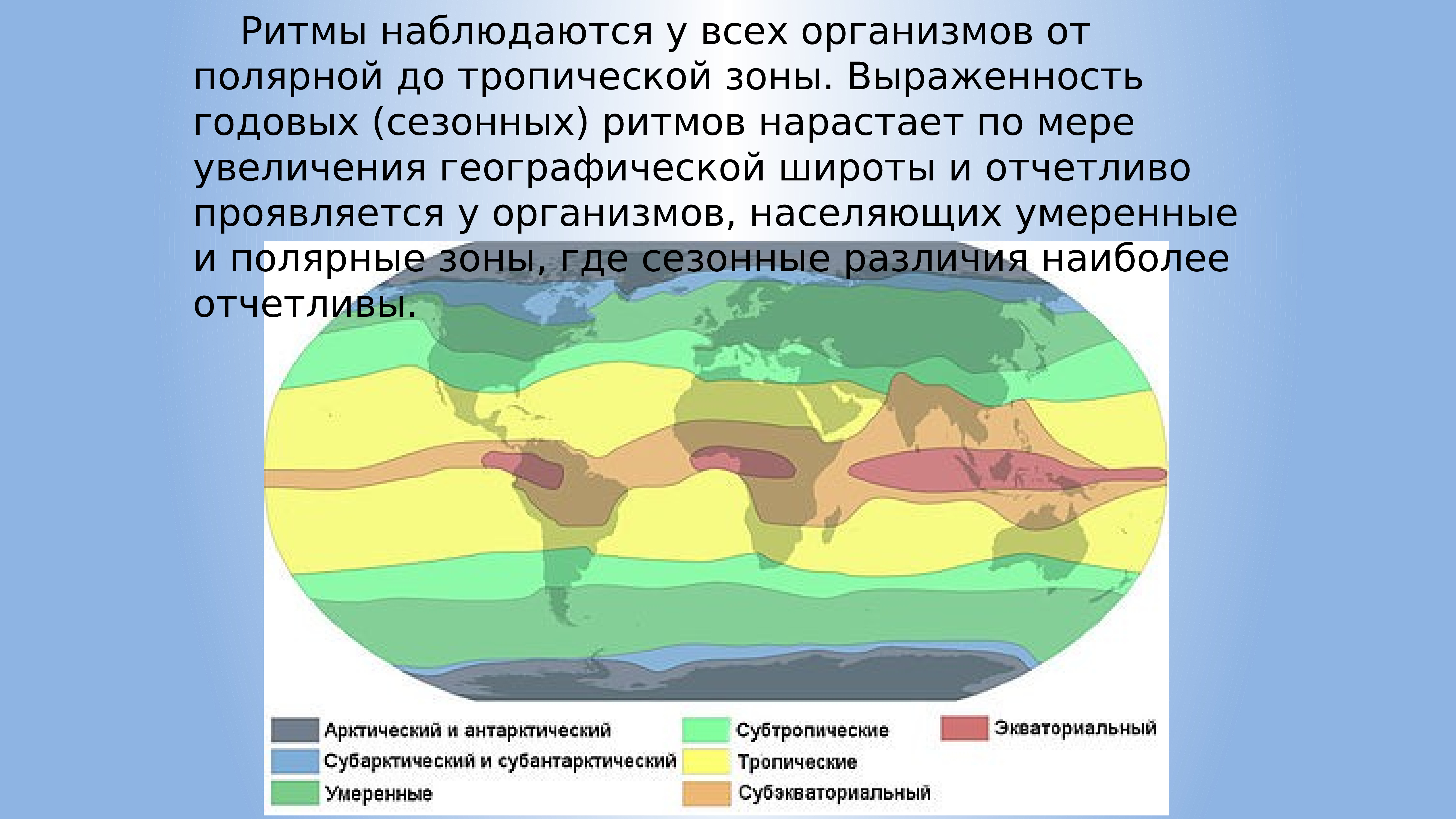 11 класс биологические ритмы презентация