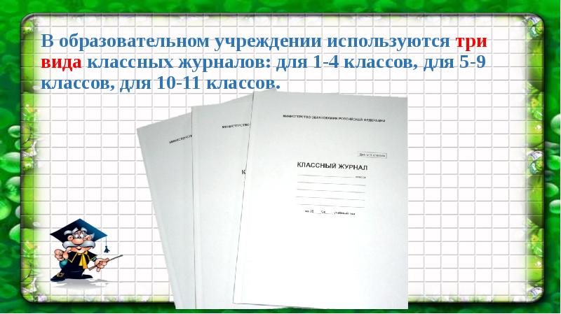 Как работать с журналом презентация 2 класс