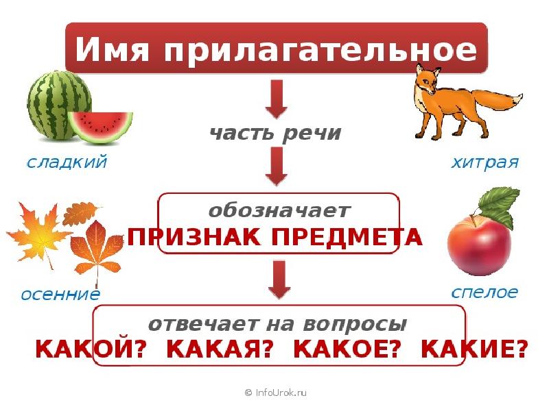 Презентация на тему имя прилагательное 2 класс