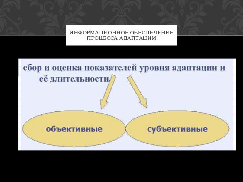 Функции процесса адаптации. Информационное обеспечение процесса адаптации. адаптация информационной системы это.
