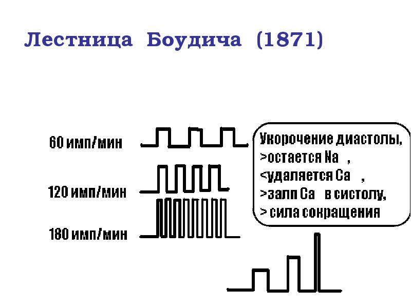 Лестница Боудича (1871) Лестница Боудича (1871)