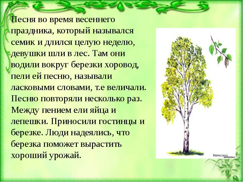 Стихотворение в лесу весной а т твардовского. Небольшой текст на тему мелодия весеннего леса. Текст зарисовка на тему мелодии весеннего леса. Сочинение на тему мелодии весеннего леса. Небольшой рассказ на тему мелодии весеннего леса.