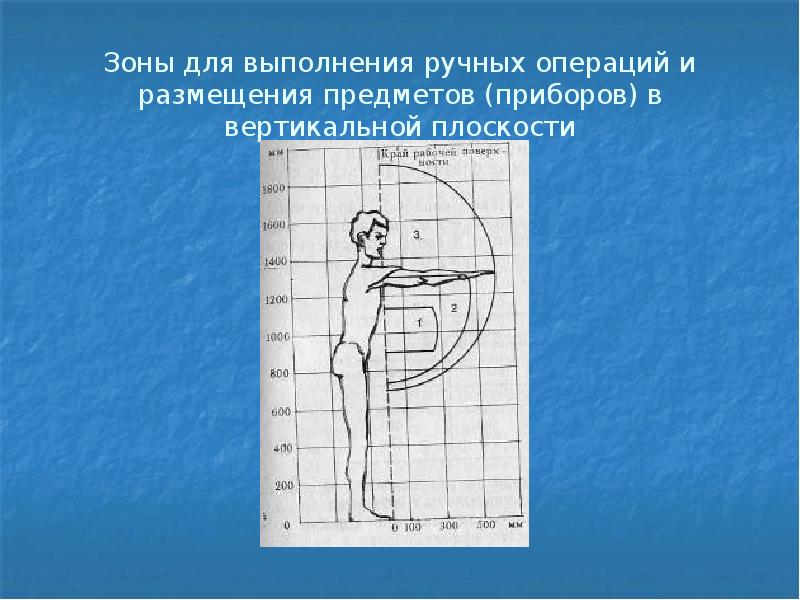 Презентация на тему организация рабочего места