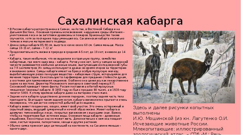 Красная книга сахалинской области презентация