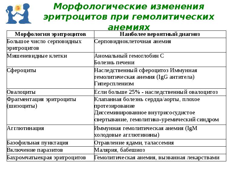 Морфологические изменения эритроцитов. Морфологические изменения эритроцитов
