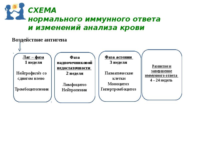 Клинический анализ крови презентация