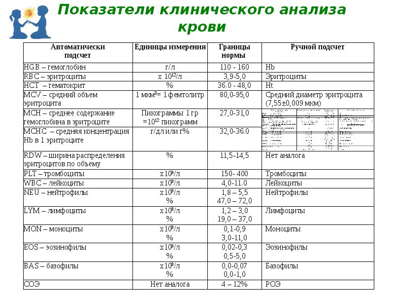 Интерпретация анализов