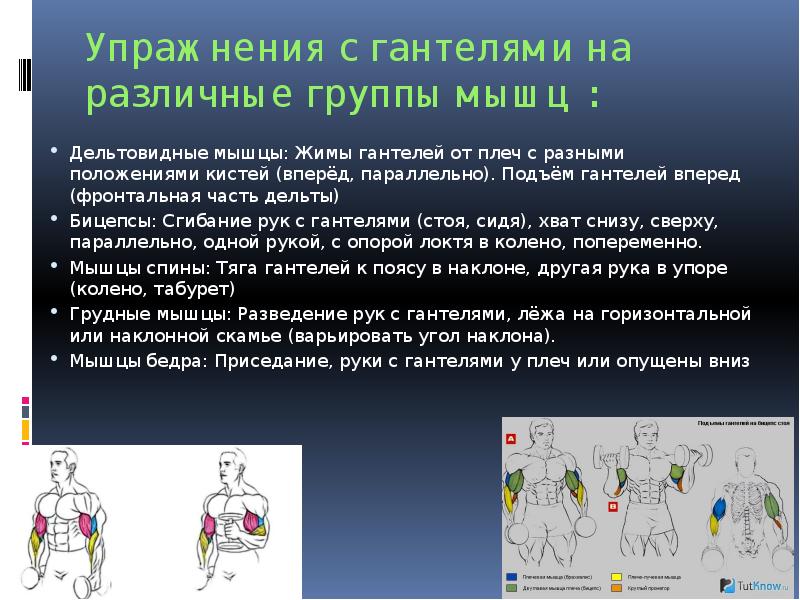 Что называют атлетической гимнастикой