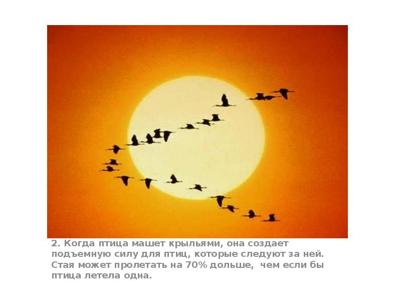 2. Когда птица машет крыльями, она создает подъемную силу для птиц, 2. Когда птица машет крыльями, она создает подъемную силу для птиц,