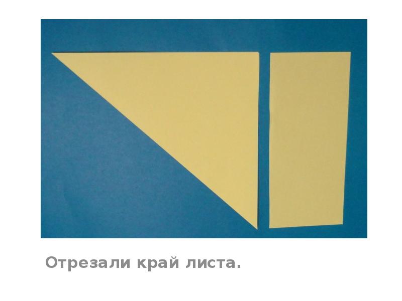 Отрезали край листа. Отрезали край листа.