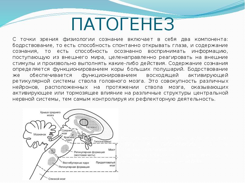 Физиология зрения. Патогенез нарушения сознания. Механизм развития нарушения сознания. Сознание физиология. Нарушение сознания презентация.